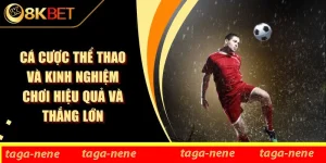 Cá Cược Thể Thao Và Kinh Nghiệm Chơi Hiệu Quả Và Thắng Lớn