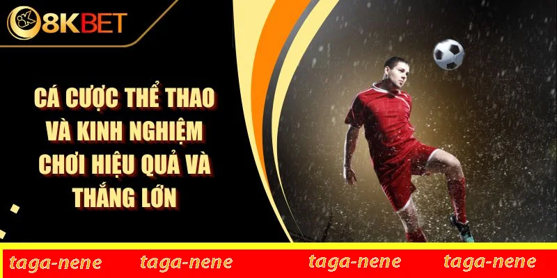 Cá Cược Thể Thao Và Kinh Nghiệm Chơi Hiệu Quả Và Thắng Lớn 1 Cá Cược Thể Thao Và Kinh Nghiệm Chơi Hiệu Quả Và Thắng Lớn