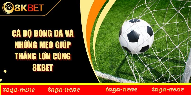 Cá Độ Bóng Đá Và Những Mẹo Giúp Thắng Lớn Cùng 8KBET 1 Cá Độ Bóng Đá Và Những Mẹo Giúp Thắng Lớn Cùng 8KBET