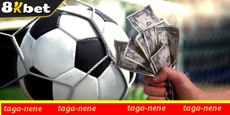 Các loại cược đặc biệt, đáng thử trong thể thao hiện đại 1 Các loại cược đặc biệt, đáng thử trong thể thao hiện đại