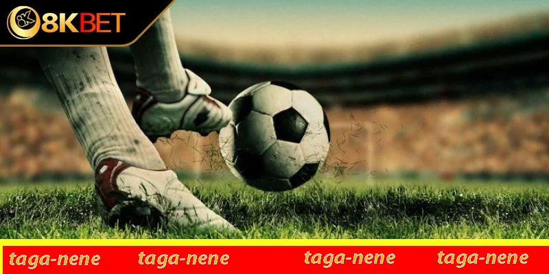 Các loại hình cược có trong trận đấu Các loại hình cược có trong trận đấu