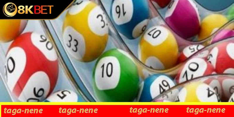 Các phương pháp nuôi lô khung 7 ngày hiệu quả từ chuyên gia 8KBET Các phương pháp nuôi lô khung 7 ngày hiệu quả từ chuyên gia 8KBET