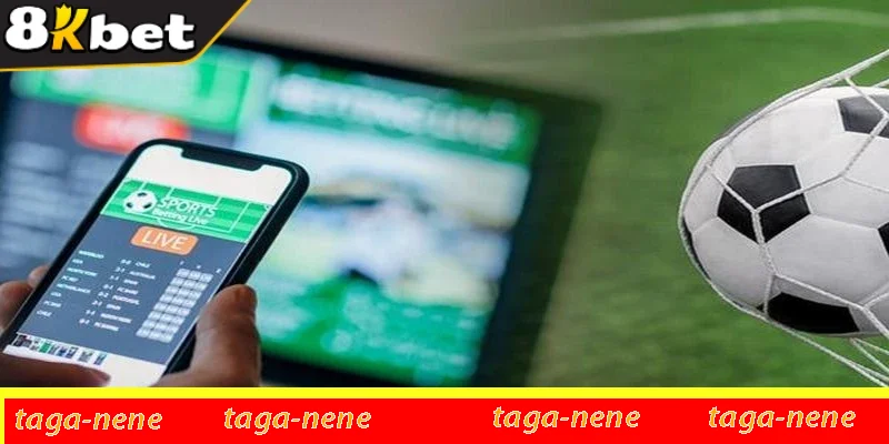 Công cụ hỗ trợ cá cược sở hữu tính năng ưu việt và đơn giản Công cụ hỗ trợ cá cược sở hữu tính năng ưu việt và đơn giản