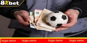 Công cụ hỗ trợ cá cược – Bách phát bách trúng cho bạn