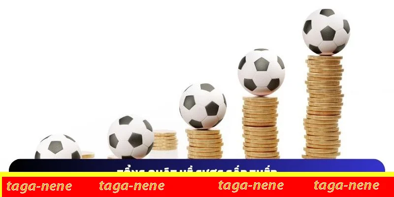 Tổng quát chung về khái niệm cược gấp thếp Tổng quát chung về khái niệm cược gấp thếp