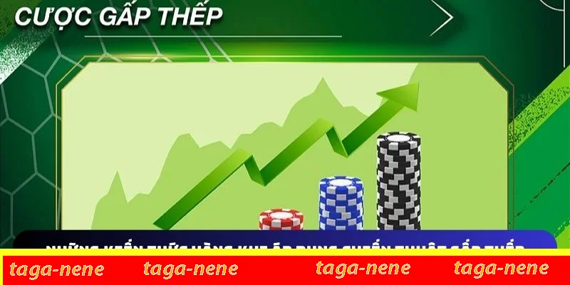 Chia sẻ kiến thức vàng khi áp dụng chiến thuật gấp thếp Chia sẻ kiến thức vàng khi áp dụng chiến thuật gấp thếp