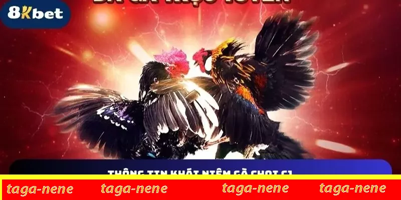 gà đá đòn khái niệm gà đá đòn khái niệm