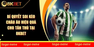 Bí Quyết Soi Kèo Châu Âu Hiệu Quả Cho Tân Thủ Tại 8KBET