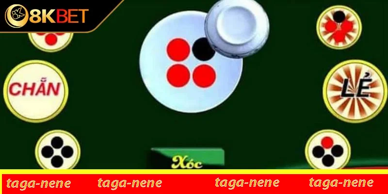 Khám phá trò chơi xóc đĩa Khám phá trò chơi xóc đĩa