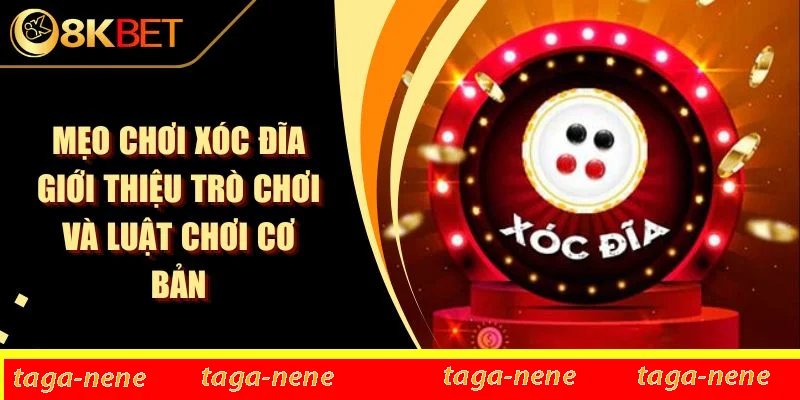 Mẹo Chơi Xóc Đĩa Giới Thiệu Trò Chơi Và Luật Chơi Cơ Bản 1 Mẹo Chơi Xóc Đĩa Giới Thiệu Trò Chơi Và Luật Chơi Cơ Bản
