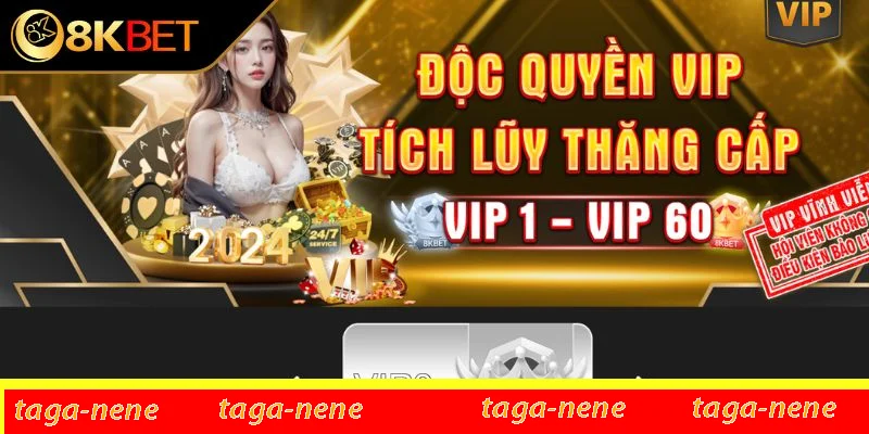 Người chơi cần làm gì để thành hội viên VIP Người chơi cần làm gì để thành hội viên VIP
