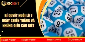 Bí Quyết Nuôi Lô 7 Ngày Chiến Thắng Và Những Điều Cần Biết