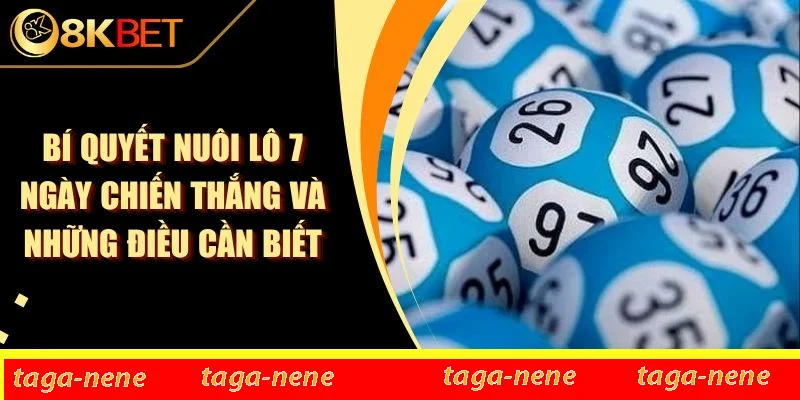 Bí Quyết Nuôi Lô 7 Ngày Chiến Thắng Và Những Điều Cần Biết 1 Bí Quyết Nuôi Lô 7 Ngày Chiến Thắng Và Những Điều Cần Biết