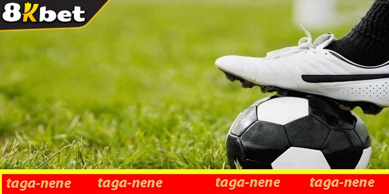 Lắng nghe chuyên gia phân tích trận đấu chi tiết rất quan trọng Lắng nghe chuyên gia phân tích trận đấu chi tiết rất quan trọng