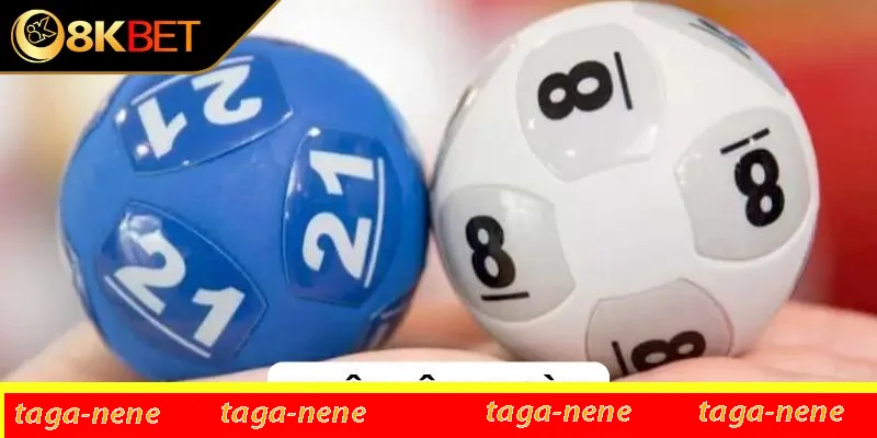 Sơ lược chung về nuôi lô 7 ngày Sơ lược chung về nuôi lô 7 ngày