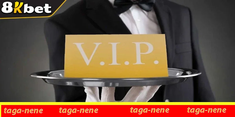 Để xét duyệt tài khoản VIP 8KBET bạn phải tham gia hoạt động đều đặn Để xét duyệt tài khoản VIP 8KBET bạn phải tham gia hoạt động đều đặn