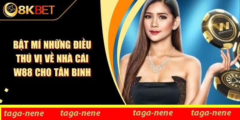 Bật Mí Những Điều Thú Vị Về Nhà Cái W88 Cho Tân Binh 1 Bật Mí Những Điều Thú Vị Về Nhà Cái W88 Cho Tân Binh