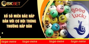 Xổ Số Miền Bắc Hấp Dẫn Với Cơ Hội Trúng Thưởng Hấp Dẫn